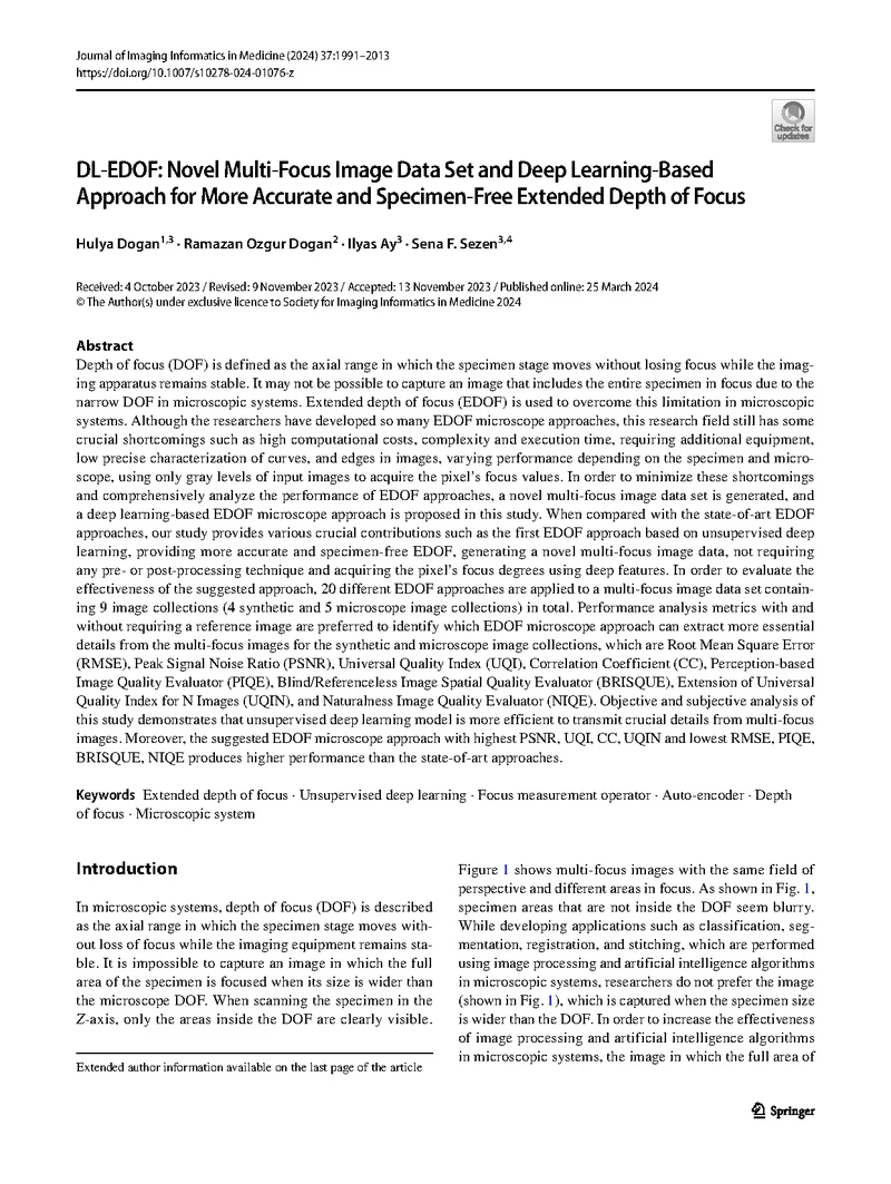 Article Preview